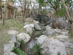 な~もの森造成(ビオトープ)