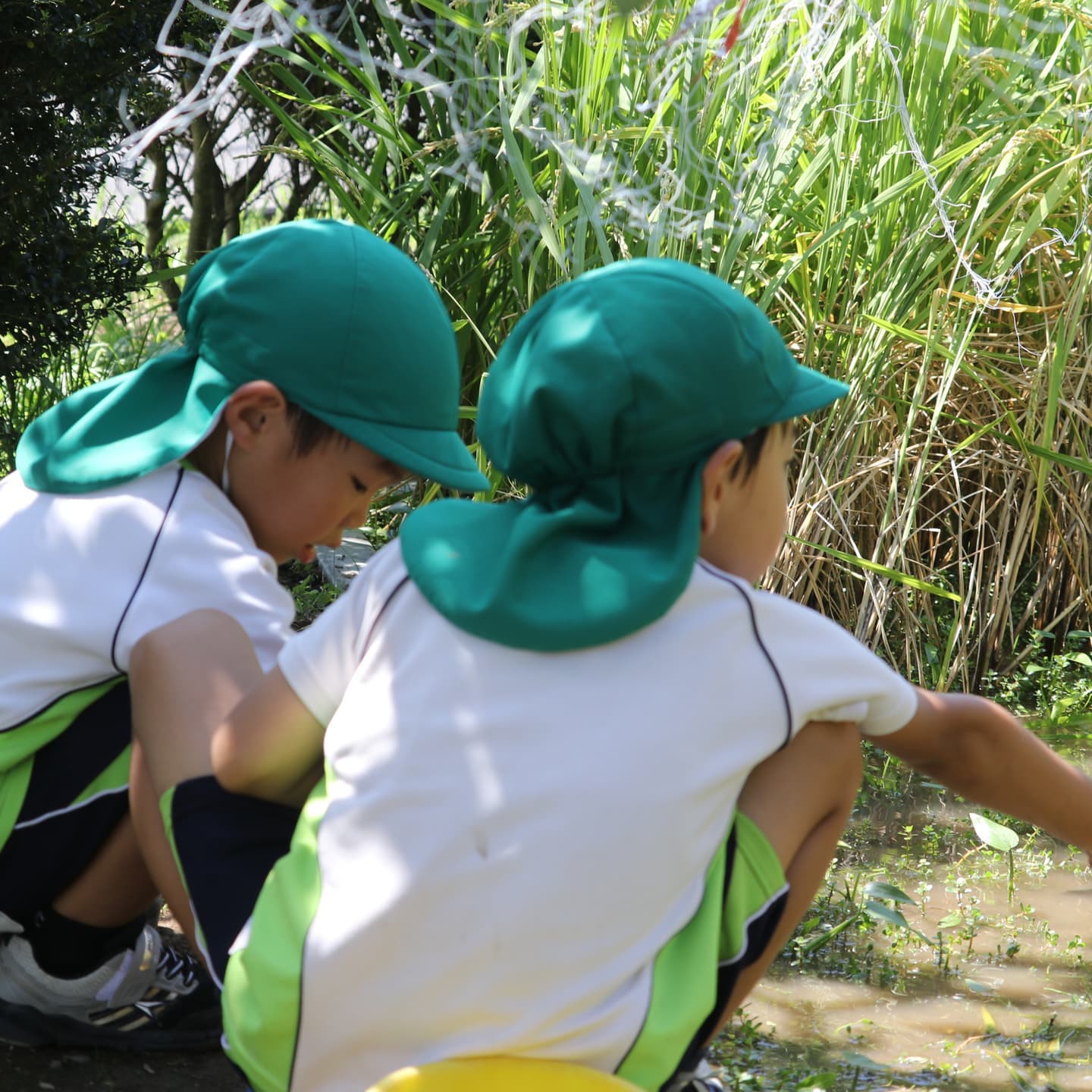 田んぼと子どもたち